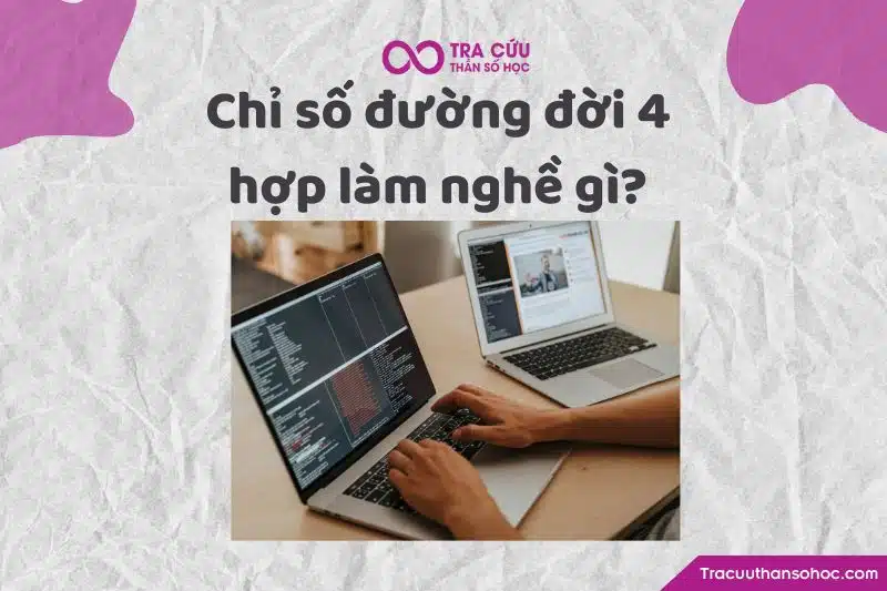 Ngành nghề nào hợp với chỉ số đường đời 4?